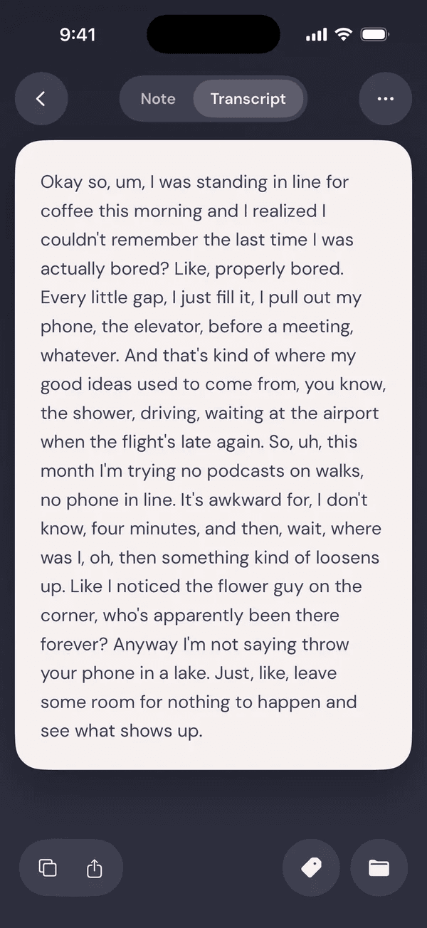 AudioPen on iPhone: the original transcript